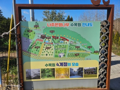 사진 3