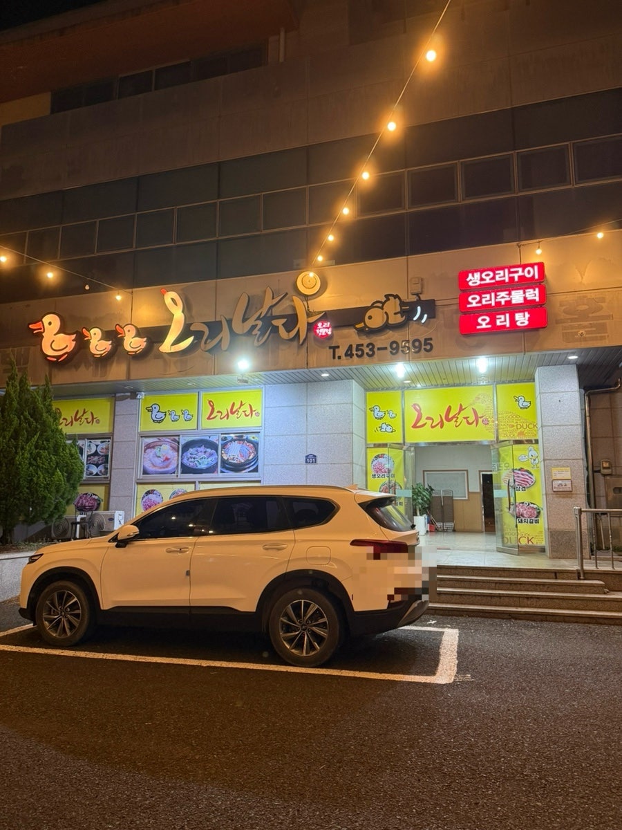 오리날다 사진 1