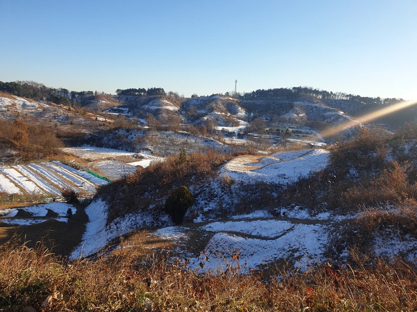 살세미산 사진 5