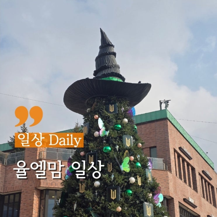  율엘맘 일상 11주차 :)
