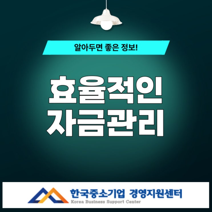  효율적인 자금관리 기업 유형별 핵심 차이 완벽 분석