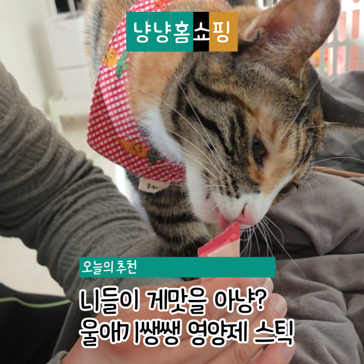  고양이 구토 털빠짐 영양제 울애기쌩쌩 스틱