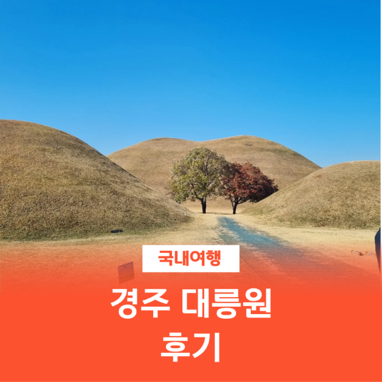  경주 대릉원 후기｜포토존·천마총·입장료