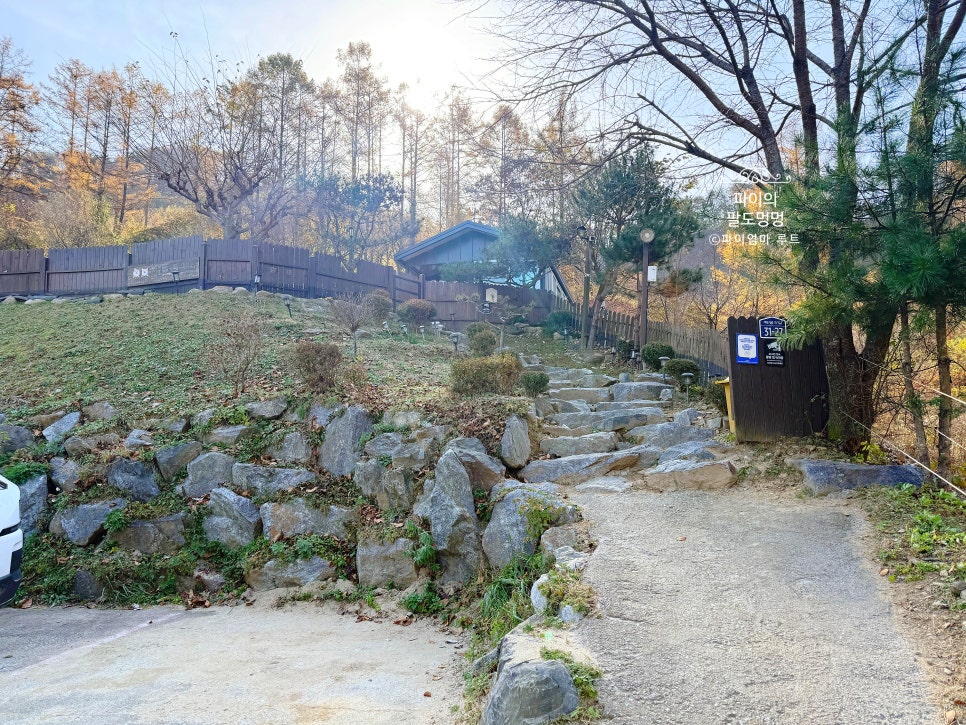 젠치로네 사진 6