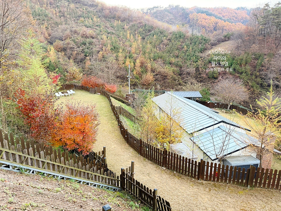 젠치로네 사진 5