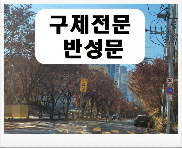  성남 반성문 탄원서 작성 및 음주운전 면허구제 대행