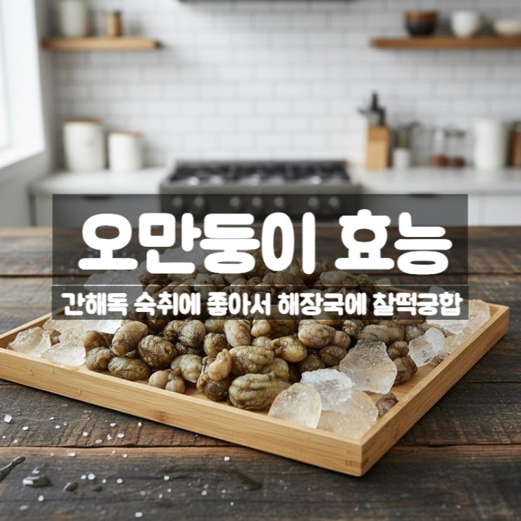  오만둥이 효능 부작용 제철 요리 먹는법 – 간 해독 돕는 봄철 해산물