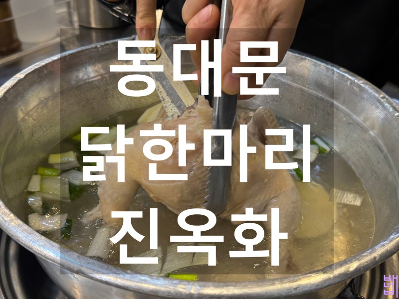 동대문 닭한마리 맛집 진옥화 주차 웨이팅, 현대시티아울렛 동대문 평화시장 맛집 추천