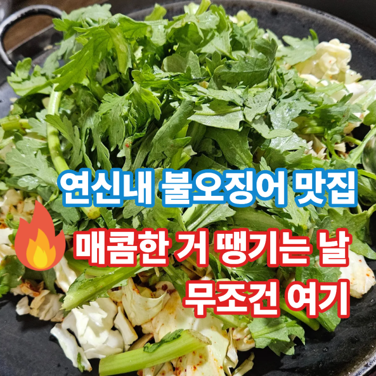  연신내 불오징어 맛집 후기, 처음가면 헷갈리는 주문 꿀팁!