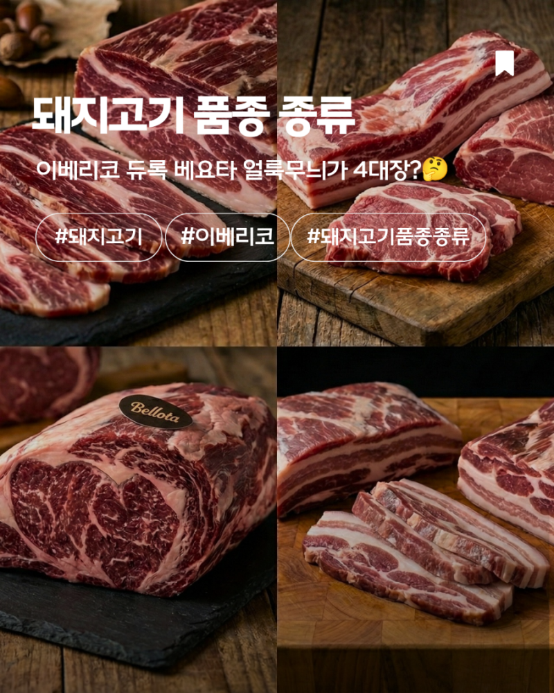 돼지고기 종류 이베리코 베요타 듀록 YBD 알고 먹어요