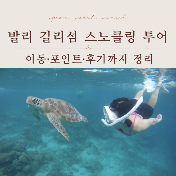  발리 길리섬 스노클링 투어 | 포인트 총정리