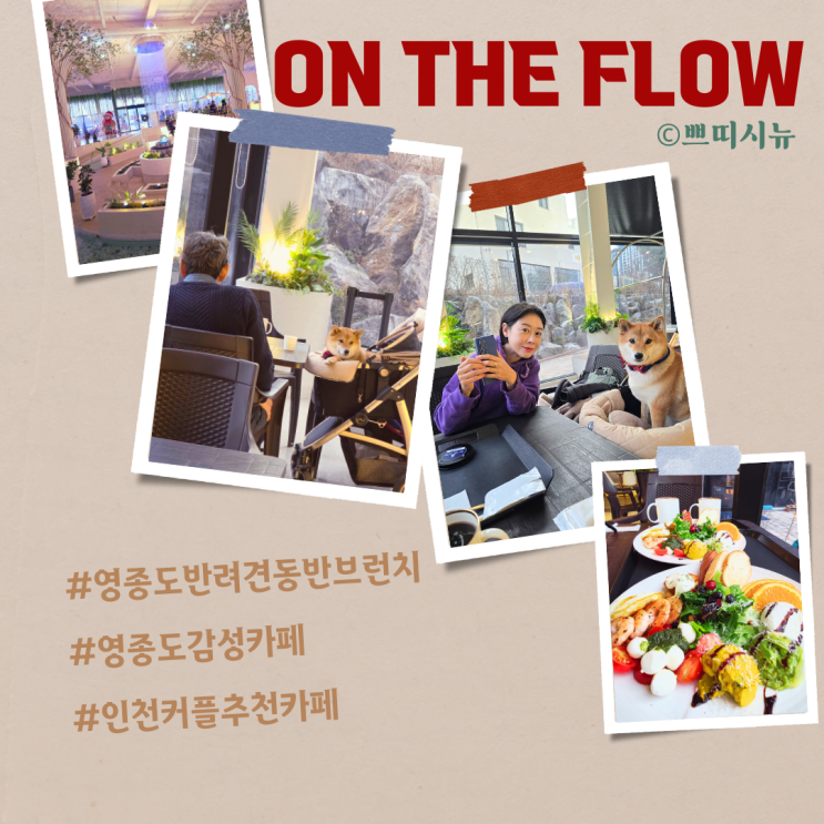  인천 영종도 온더플로우 반려견 동반 브런치 즐긴 후기[내돈내먹]