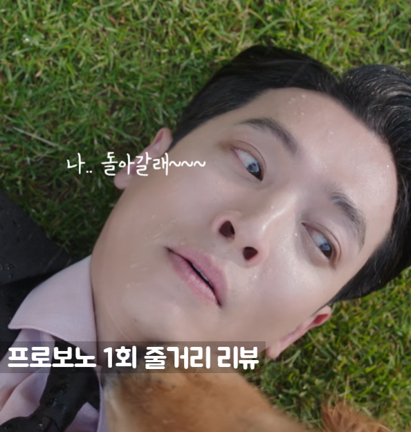 국민판사 <b>정경호</b> 졸지에 공익변호사 변신 tvN 토일<b>드라마</b>... 