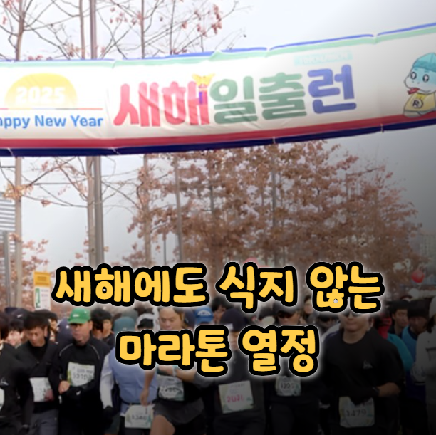  새해부터 달려! 26년 일출런 서울 마라톤 대회 일정