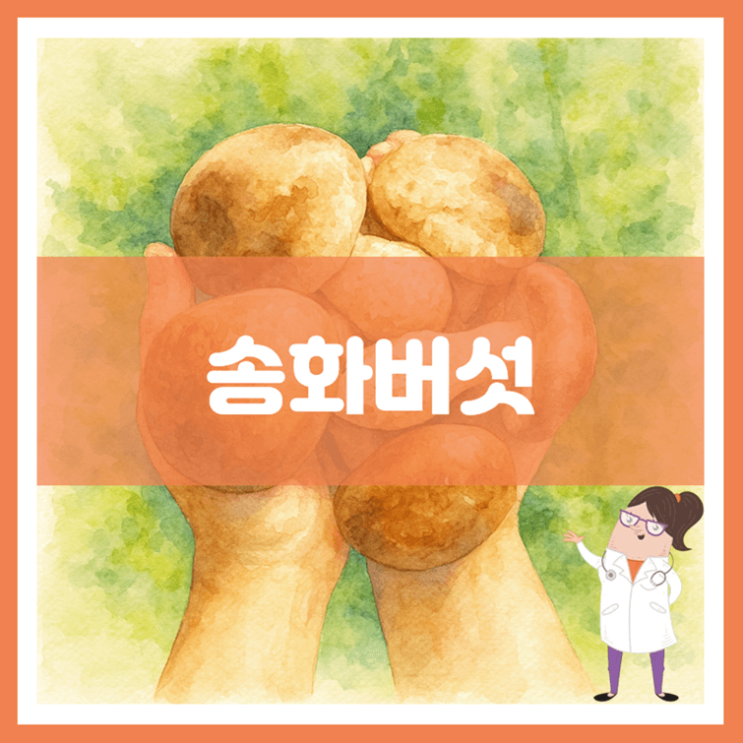  송화버섯 효능 부작용 보관방법