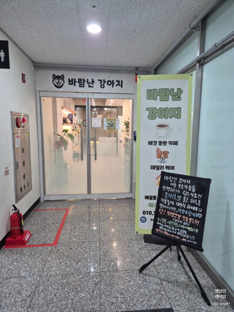 사진 5