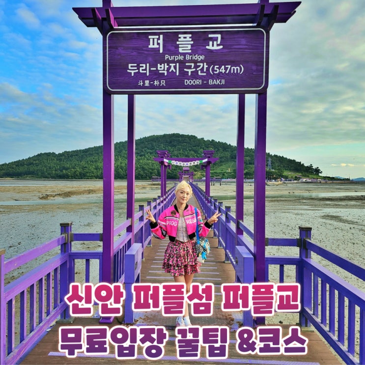  신안 퍼플섬 퍼플교 박지도 반월도 코스 입장료 무료입장 팁 총정리