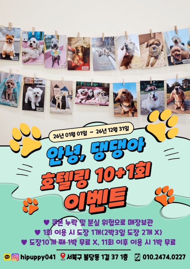 안녕,댕댕아