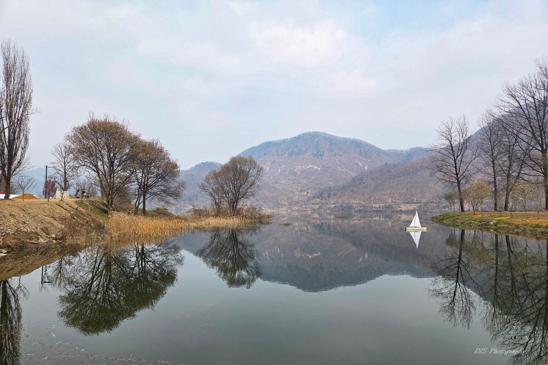 가평 자라섬 애견동반 가을산책
