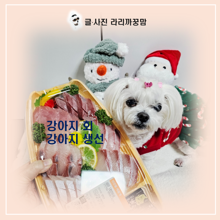  날로 주면 안 돼요! 강아지 회,생선 생식 시 '티아민 분해 효소' 위험과 대처법!