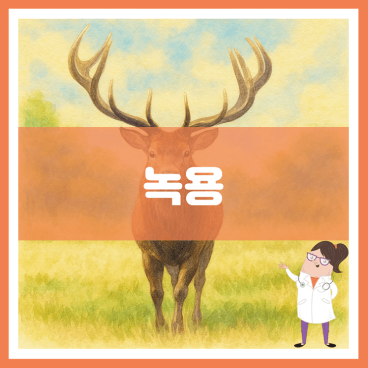  녹용 효능 섭취방법 부작용