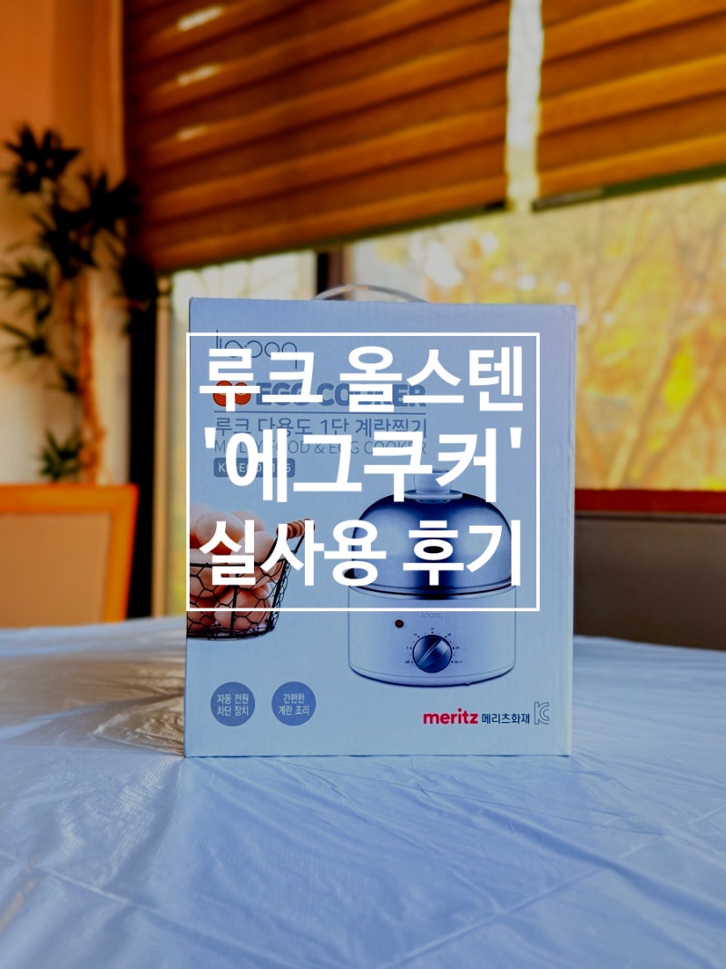 루크 계란찜기 올스텐 재질 확인 안 하면 6개월 후 후회