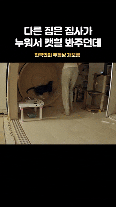  귀여운 동물 모음 202탄