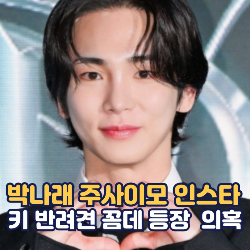Park Na-rae, Jusaimo, Instagram, SHINee Key's dog Kkomde appears, suspicions of Park Na-rae and Key's involvement