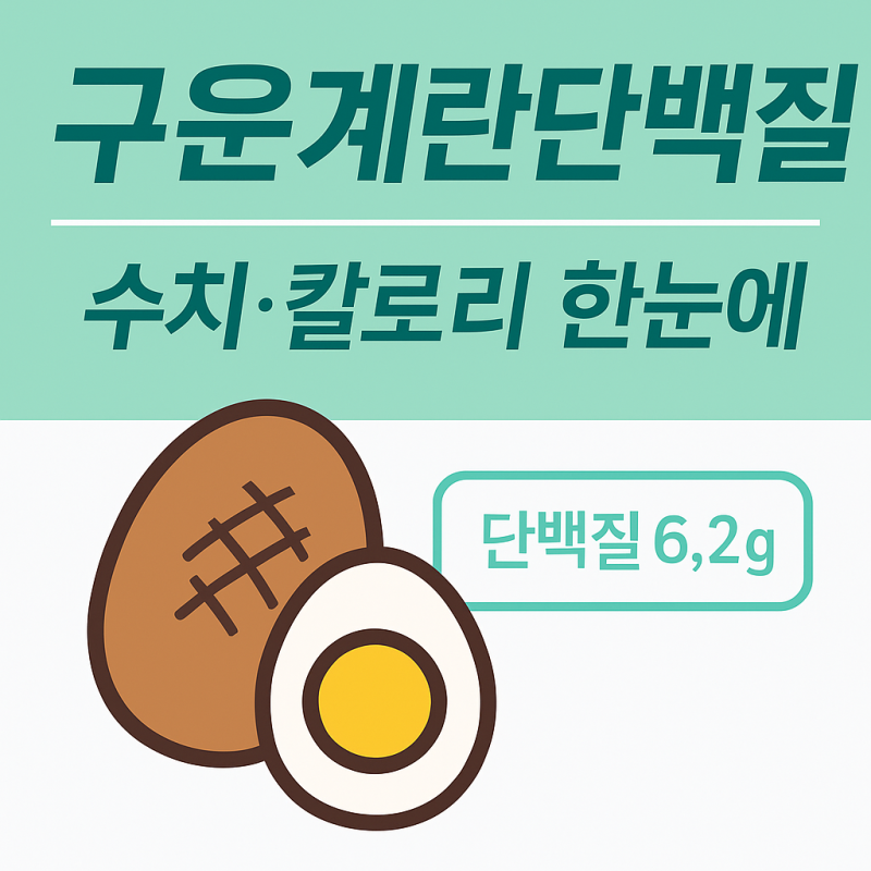 구운계란 단백질함량 얼마나 될까? 삶은계란과 차이까지 정리