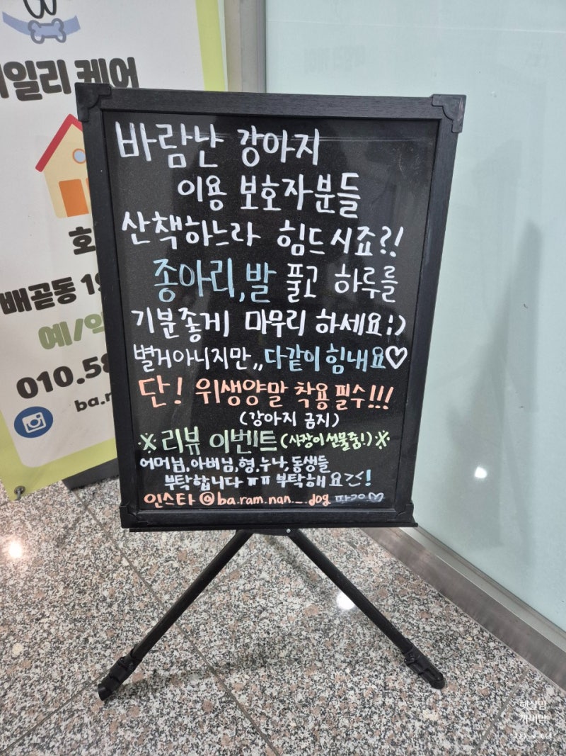 사진 6