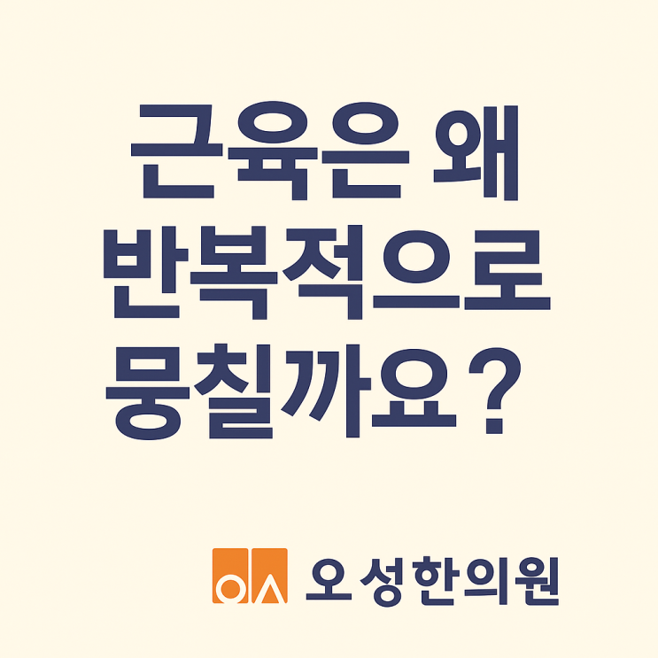  근육은 왜 반복적으로 뭉칠까요? 파주 봉일천 오성 한의원