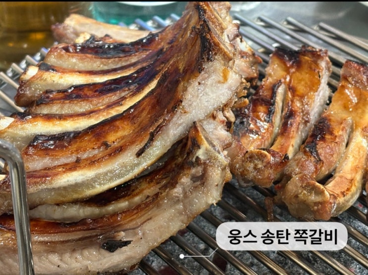   평택송탄투어_#내돈내산 #웅스송탄쪽갈비 #록키즈버거 #카멜카페 다녀온 후기 
