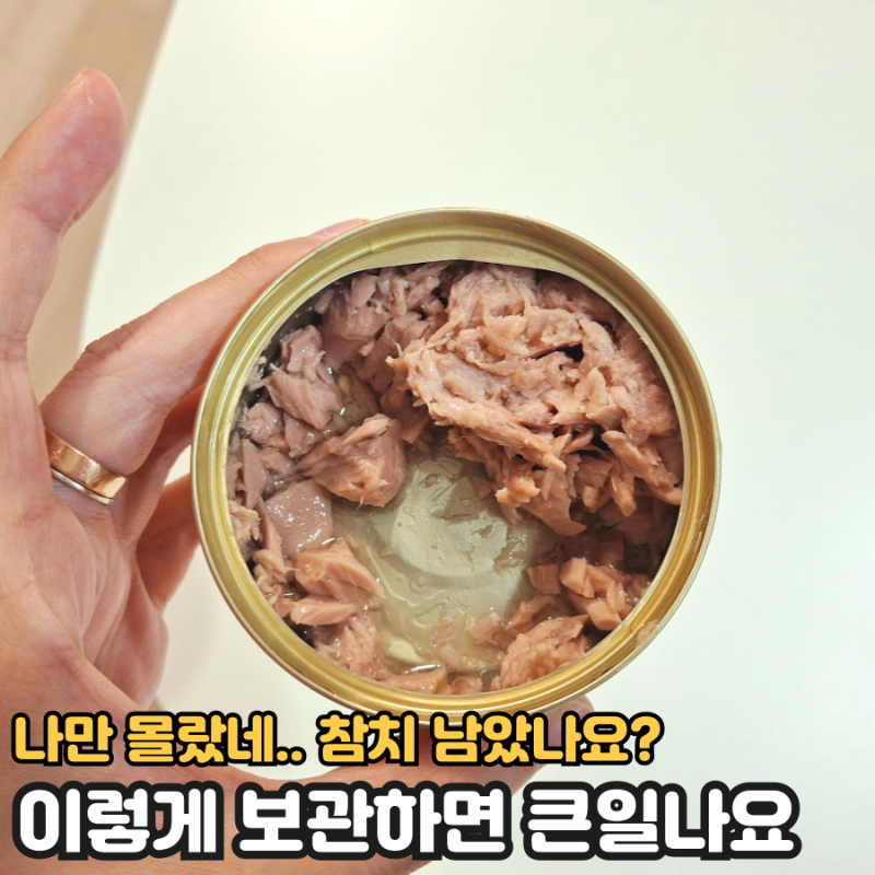 남은 참치캔, 이렇게 두면 안 돼요! 올바른 보관법