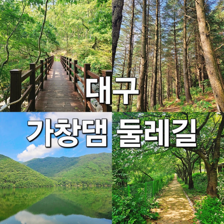  대구 근교 여름 피서 숲길 산책 '가창댐 둘레길'