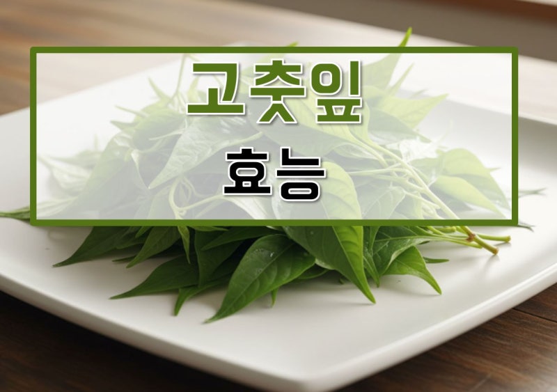 고춧잎 효능, 나물, 보관법, 제철, 데치기, 데치는법, 보관, 레시피, 삶는법, 부작용, 영양성분....