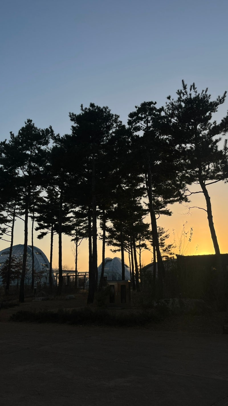 가죽 바지 슬림 가죽 바지 ｜ kadoya 공식 온라인 상점 ｜ 가죽 슬림 바지 / 블랙 (여성), image size:800x1422