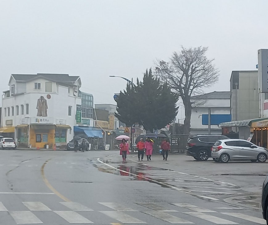 만선장어 사진 2