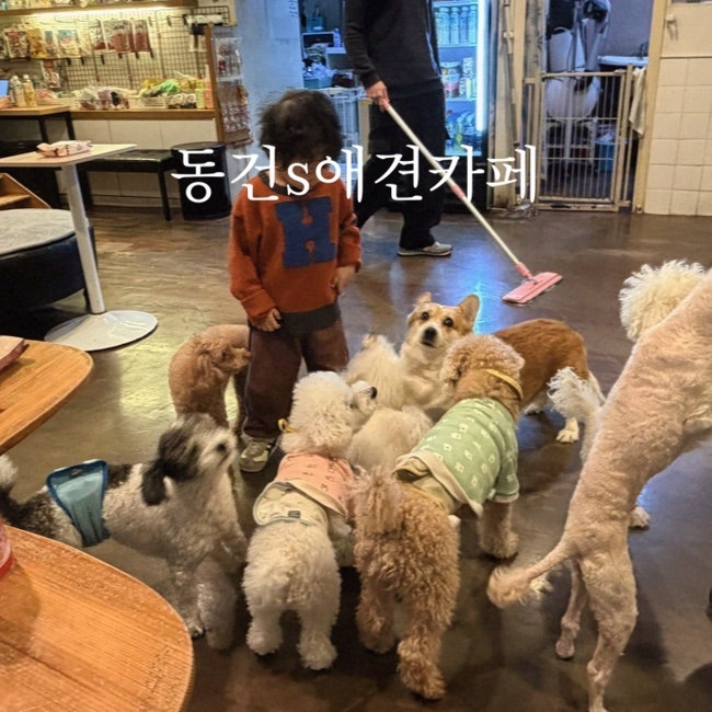 동건s애견카페