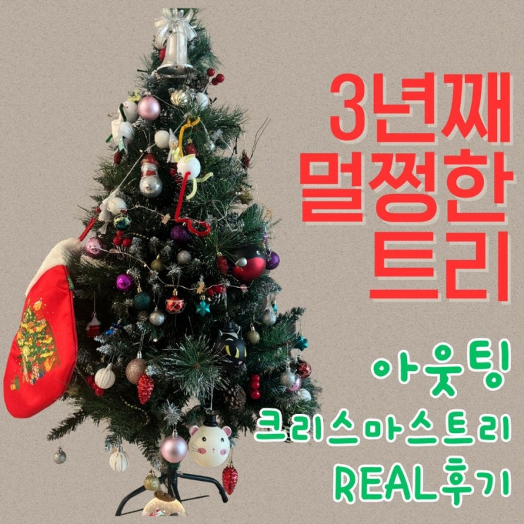  아웃팅 크리스마스트리, 3년째 그대로!  오래 쓰는 트리 찾는 분께 추천