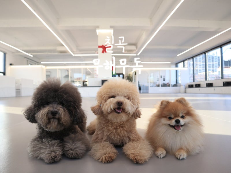 사진 4