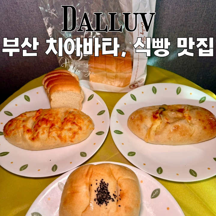  광안리빵집 달럽 : 매일 신선하게 구운 치아바타, 식빵 맛집 [부산 광안리]
