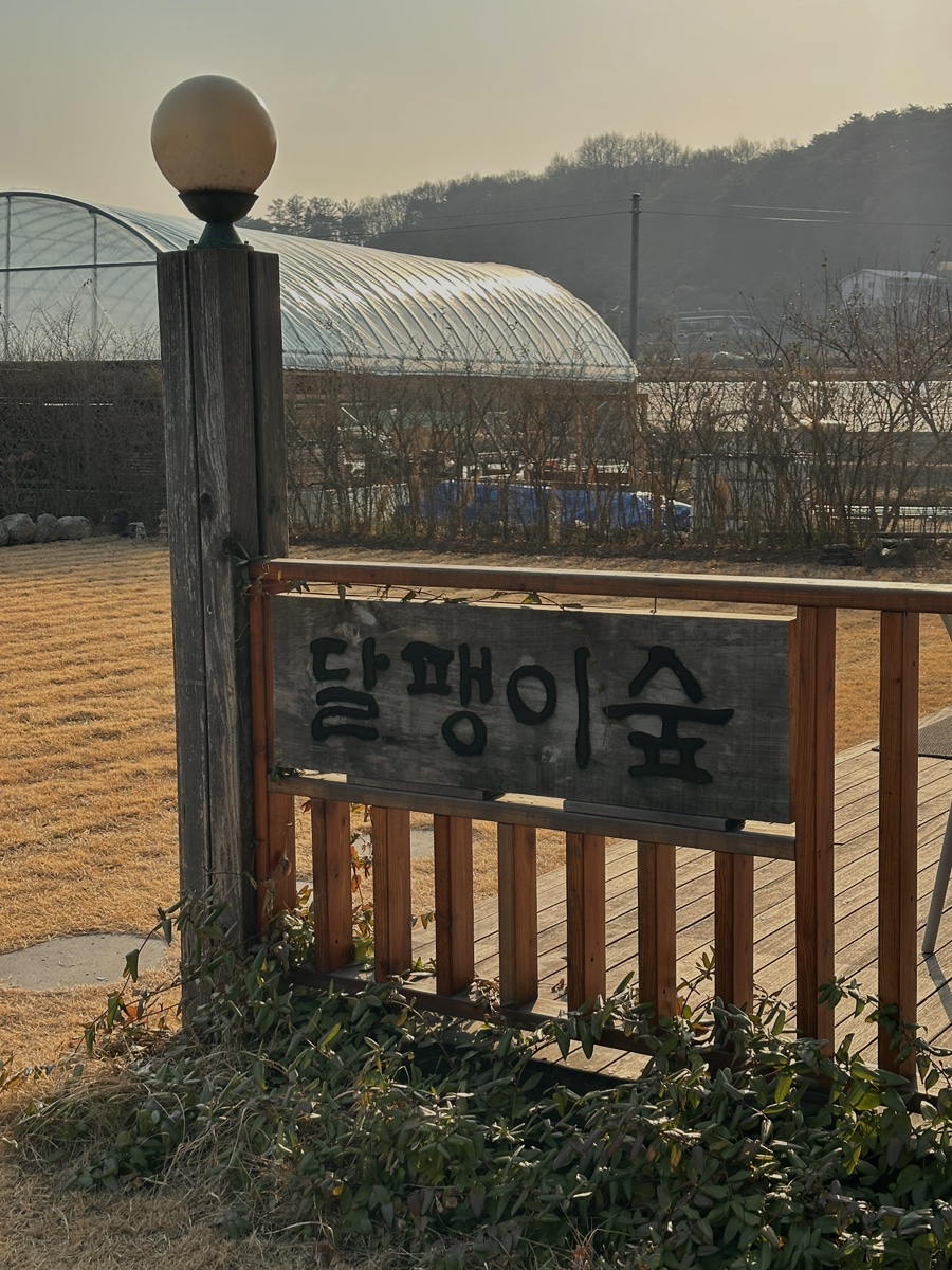 달팽이숲 사진 2