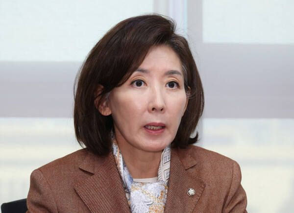  나경원, 조진웅 소년범 논란에 '공직자 소년기 흉악범죄 공개법' 발의