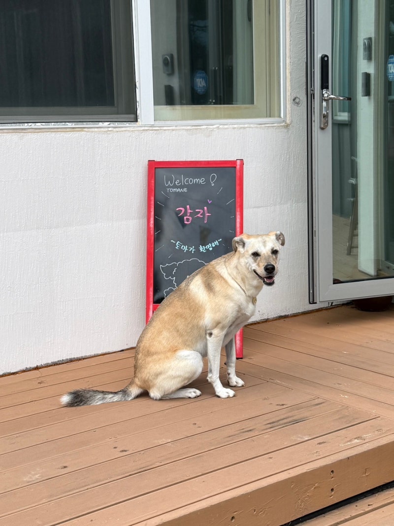 사진 7