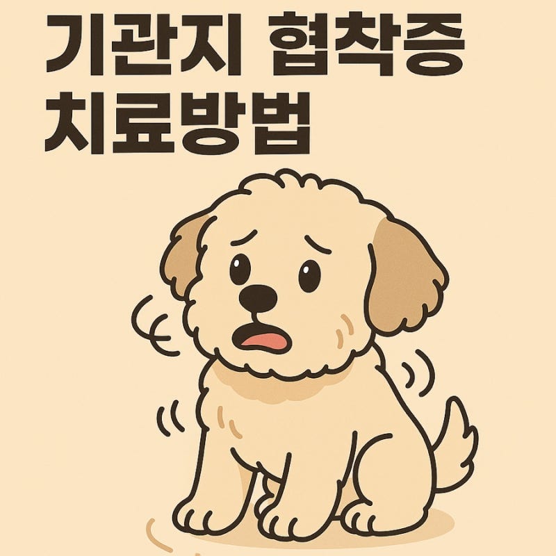 강아지 기관지 협착증 치료방법