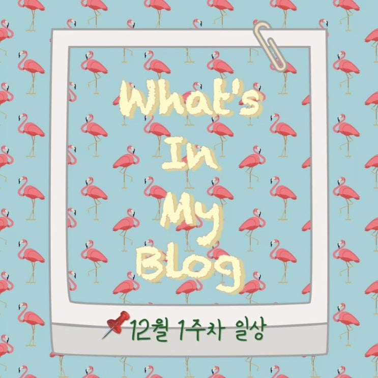  12월 1주 차 일상 정리 왓츠인마이블로그 블챌