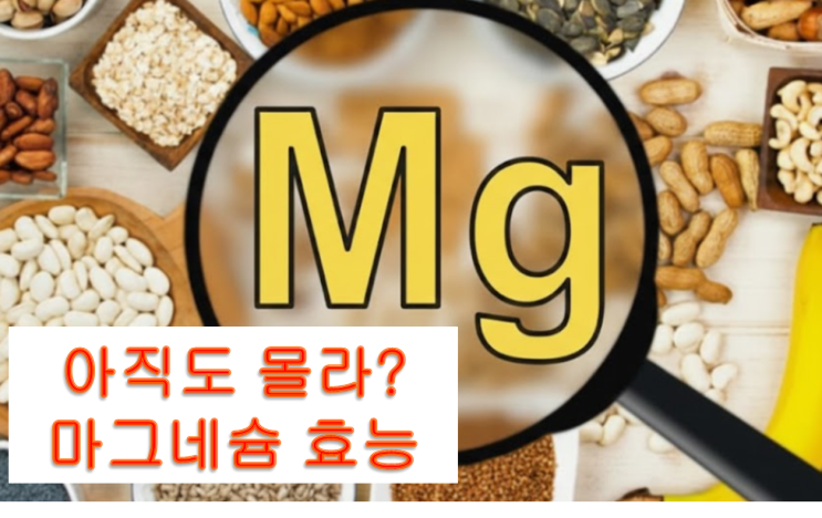  깜짝 놀랄 마그네슘 효능 효과 이거 모르면 안되지!