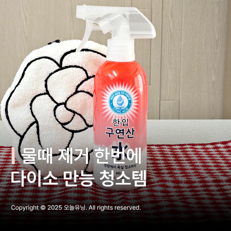 다이소 구연산 주방 욕실 물때 제거 다용도 청소 살균 추천템
