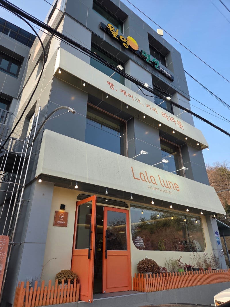 사진 4