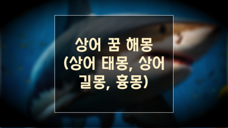 상어 꿈 해몽, 상어 태몽, 상어 길몽, 흉몽